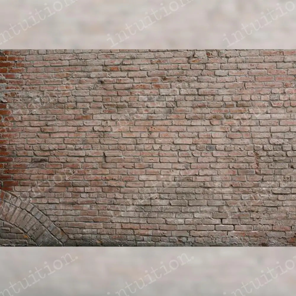 Curtis Backdrop