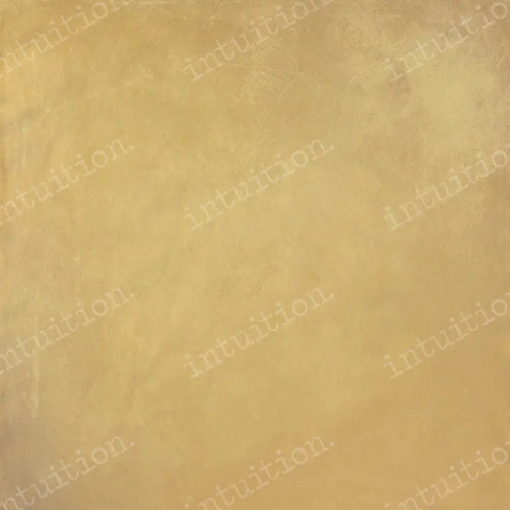 Daffodil Horizontal / Canvas 60X44 Backdrop