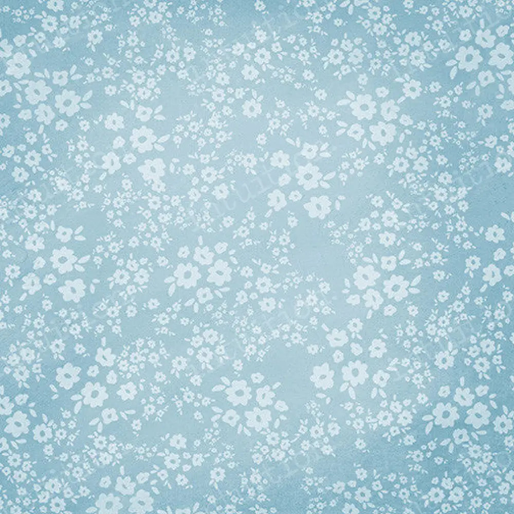 Daisy Canvas / 60X44 Backdrop