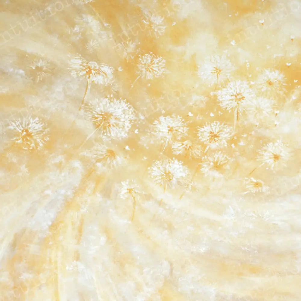 Dandy Lion Canvas / 60X44 Backdrop