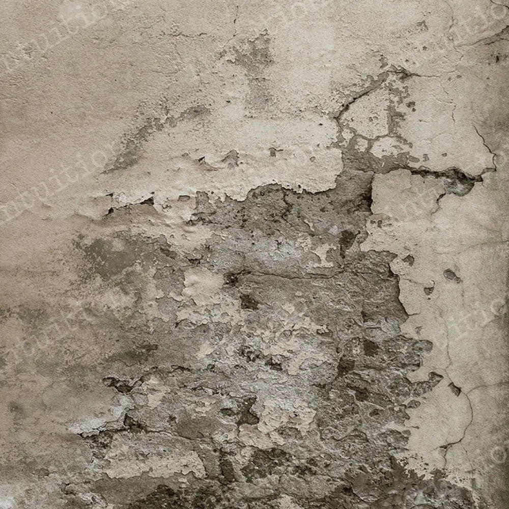 Darlington Horizontal / Poly 60X44 Backdrop