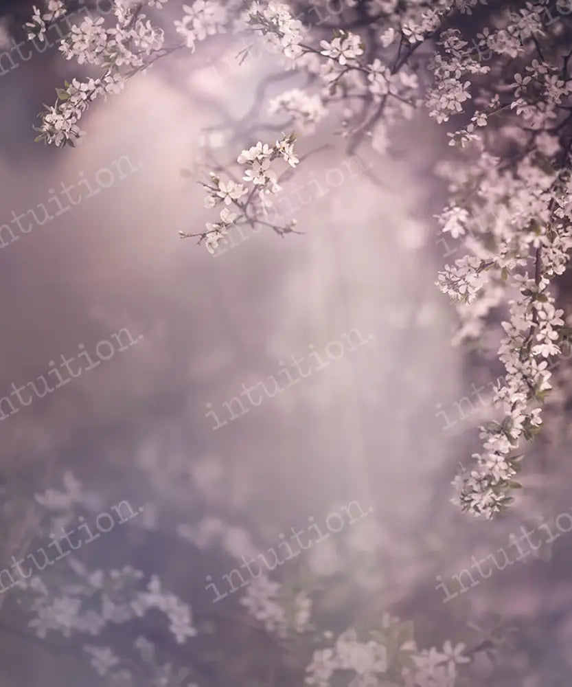 Dogwood Dream Backdrop