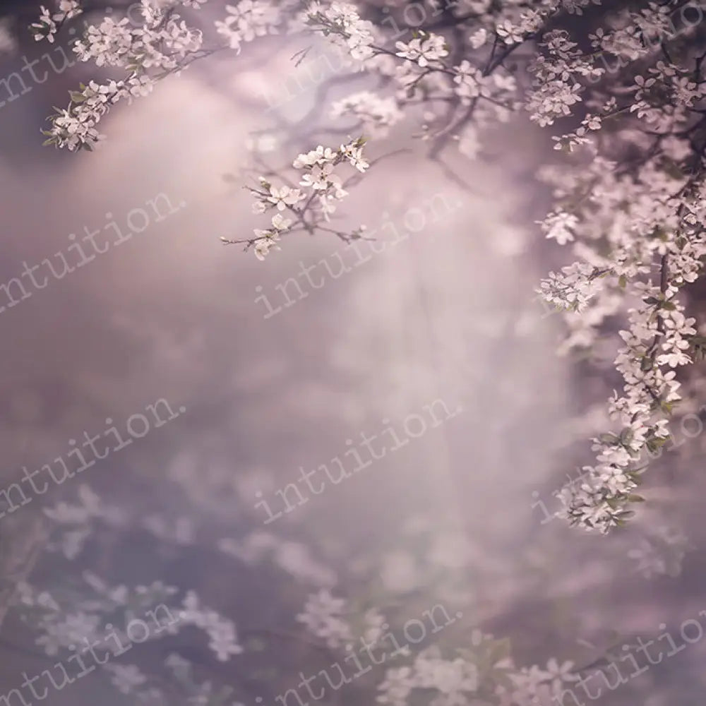 Dogwood Dream Horizontal / Poly 60X44 Backdrop