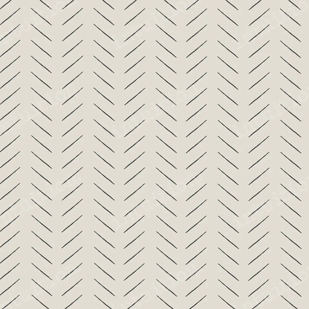 Drake Horizontal / Poly 60X44 Backdrop