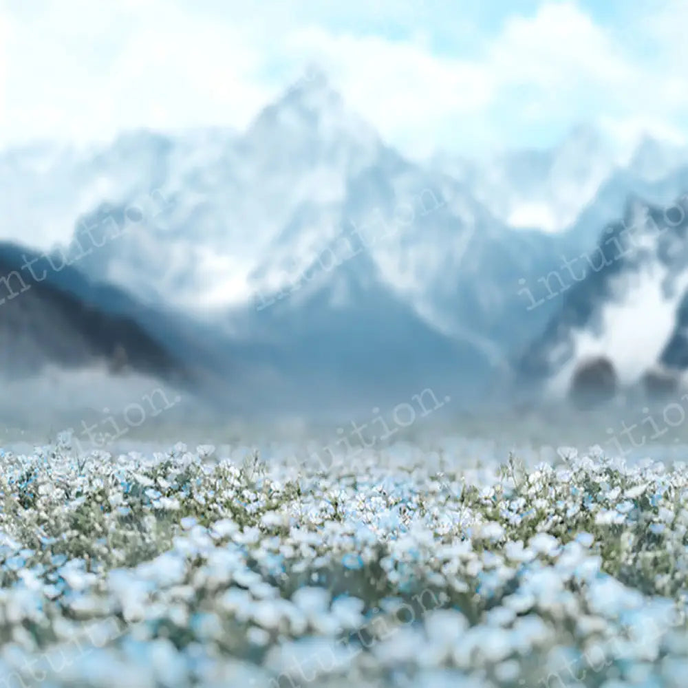 Edelweiss Horizontal / Poly 60X44 Backdrop