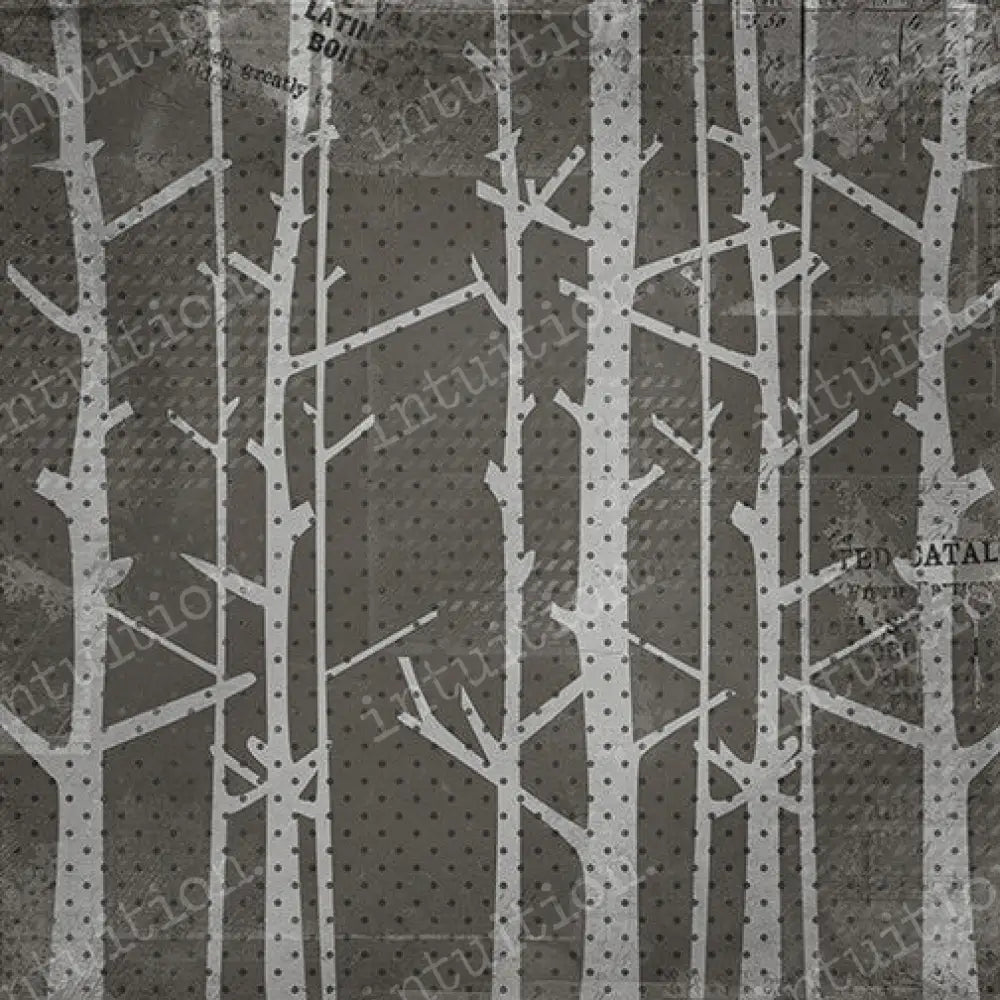 Edgar Canvas / 60X44 Backdrop