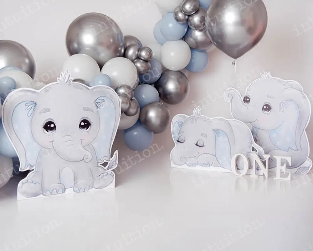 Elephant Party With One Backdrop