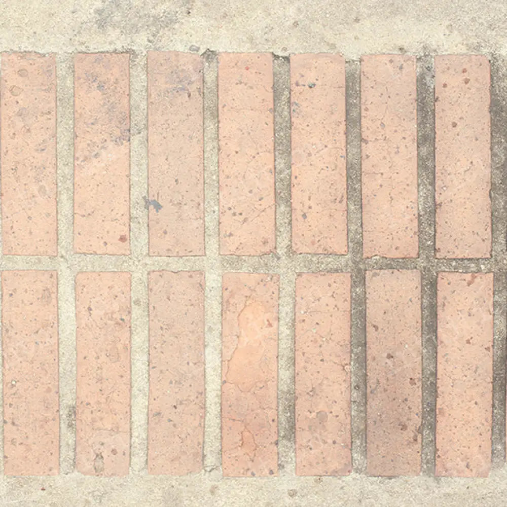 Elle Poly / 60X44 Backdrop