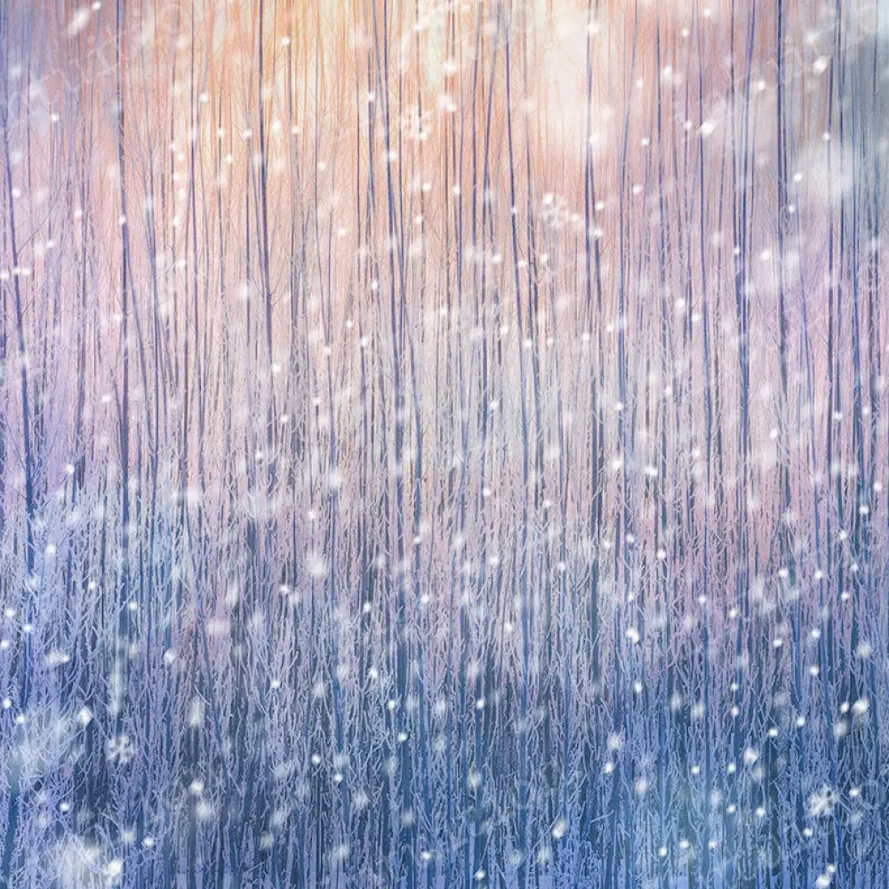 Elsa Poly / 60X44 Backdrop