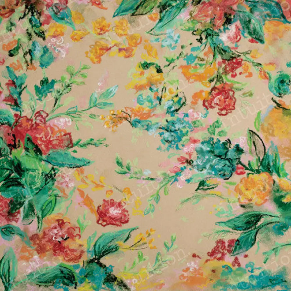 Eva Canvas / 60X44 Backdrop