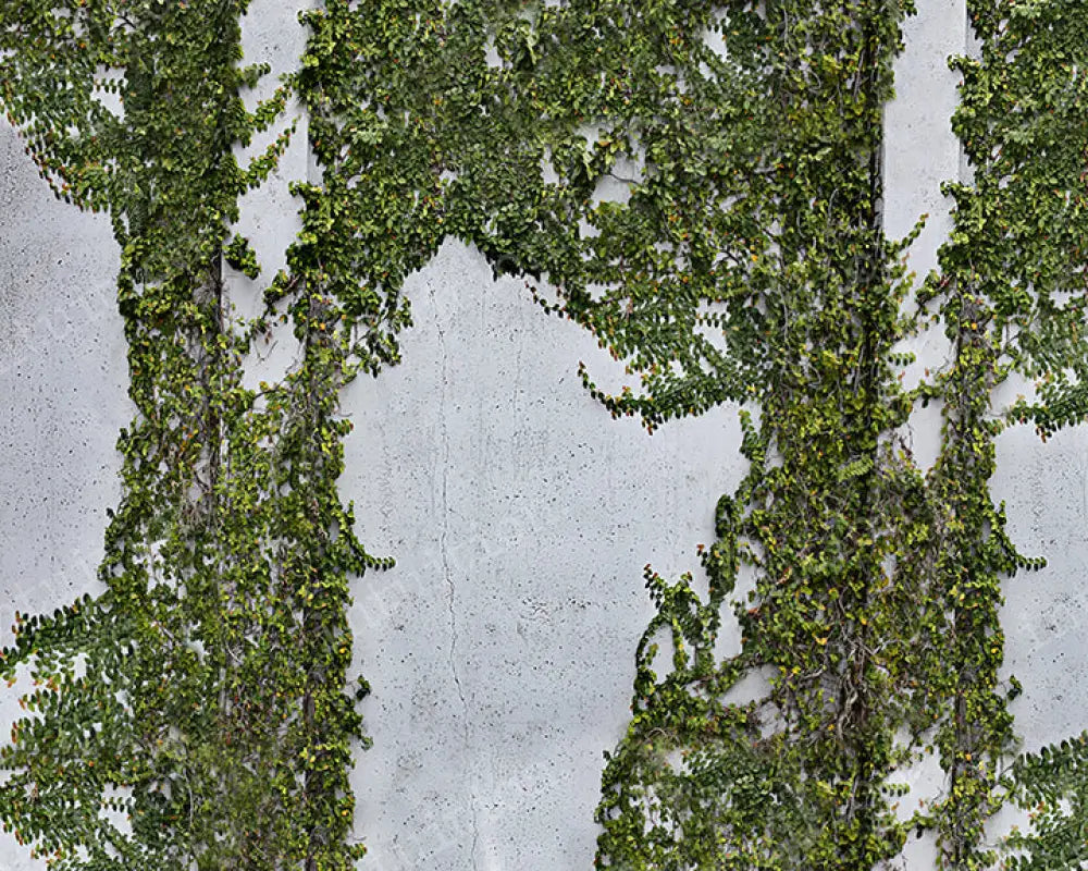 Ever After Backdrop