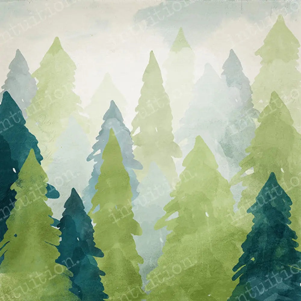 Everett Poly / 60X44 Backdrop