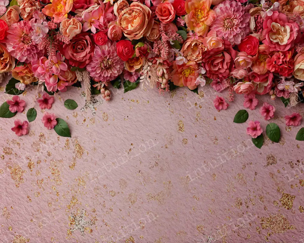 Everleigh Backdrop