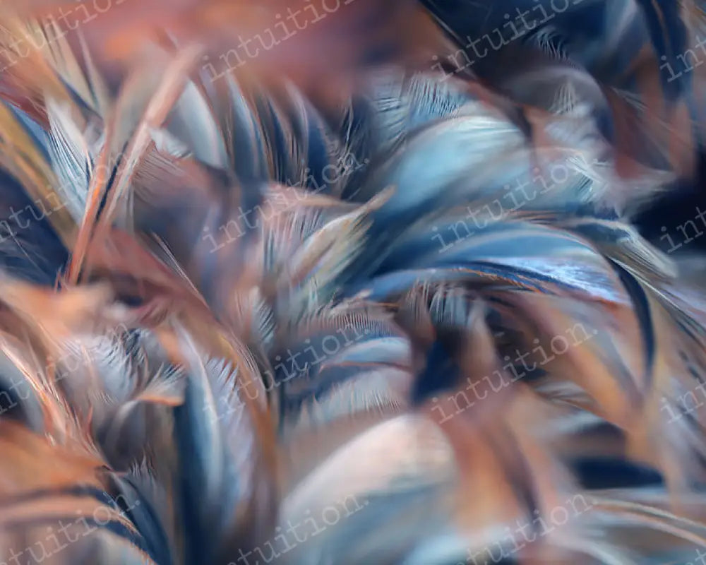 Fall Feathers Backdrop