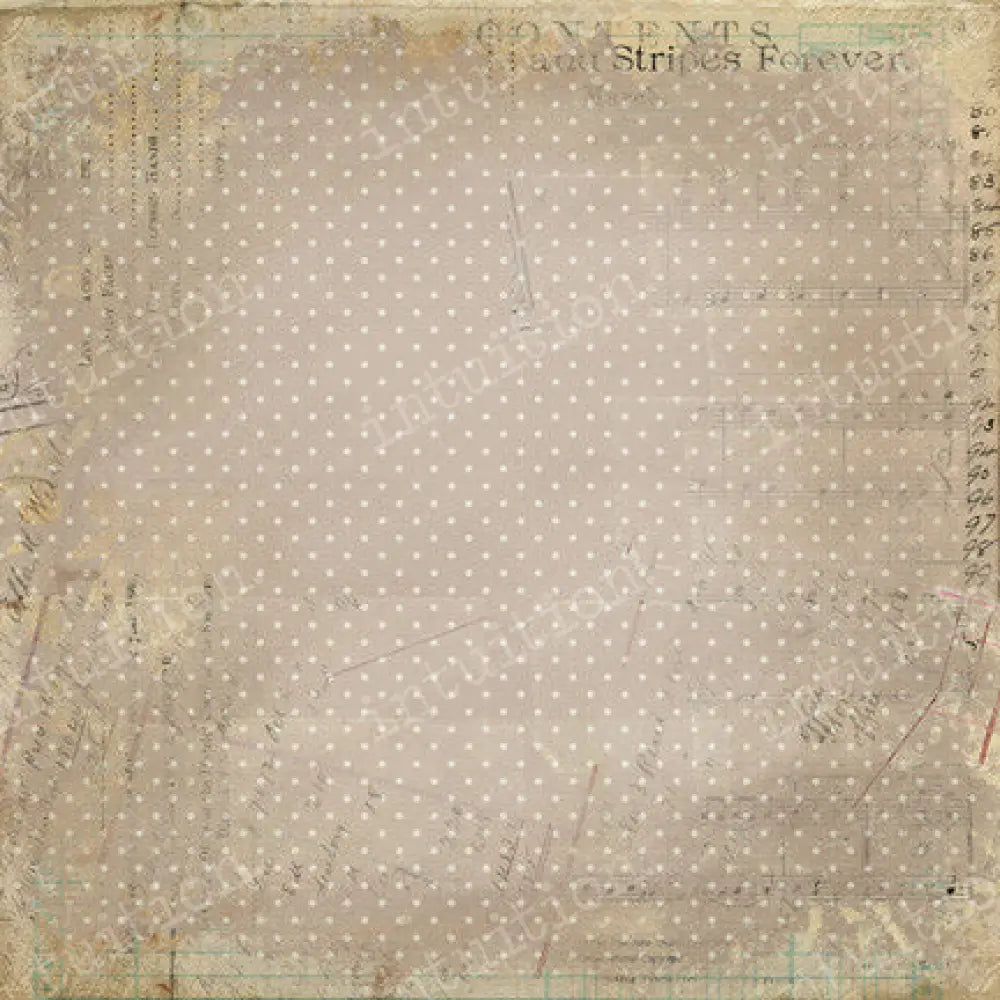 Fawn Canvas / 60X44 Backdrop