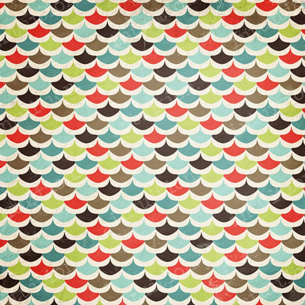 Fin Canvas / 60X44 Backdrop