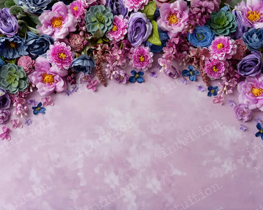 Fiona Backdrop