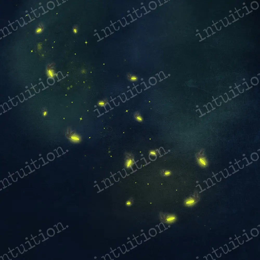 Firefly Poly / 60X44 Backdrop