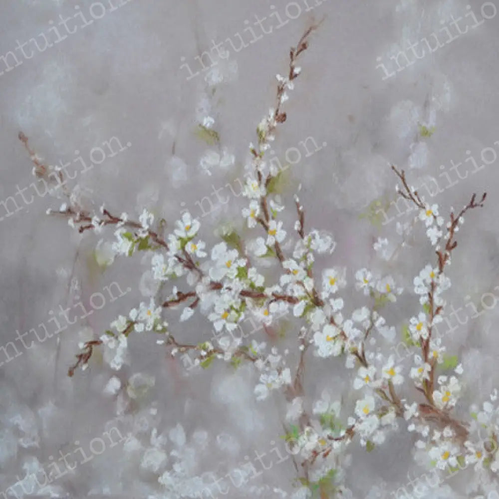 First Rain Canvas / 60X44 Backdrop