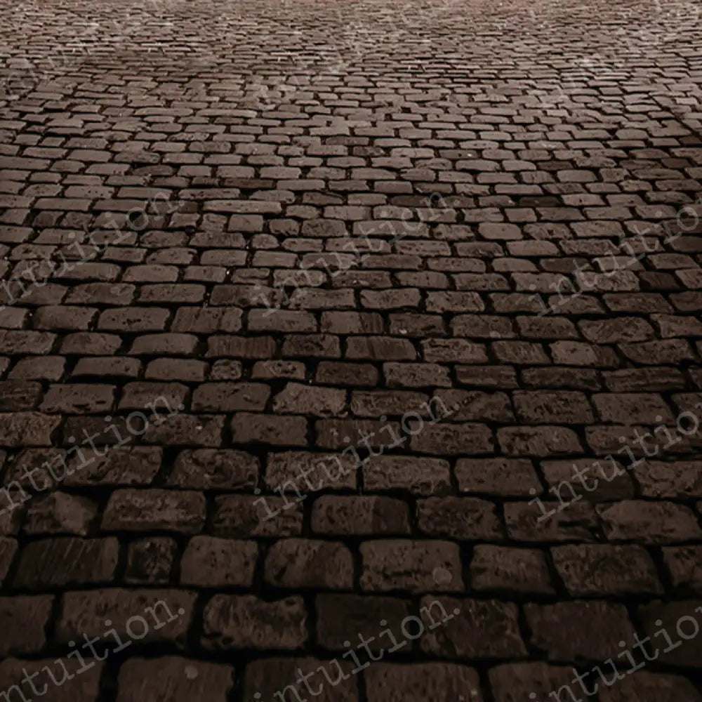 Flagstone Horizontal / Poly 60X44 Backdrop