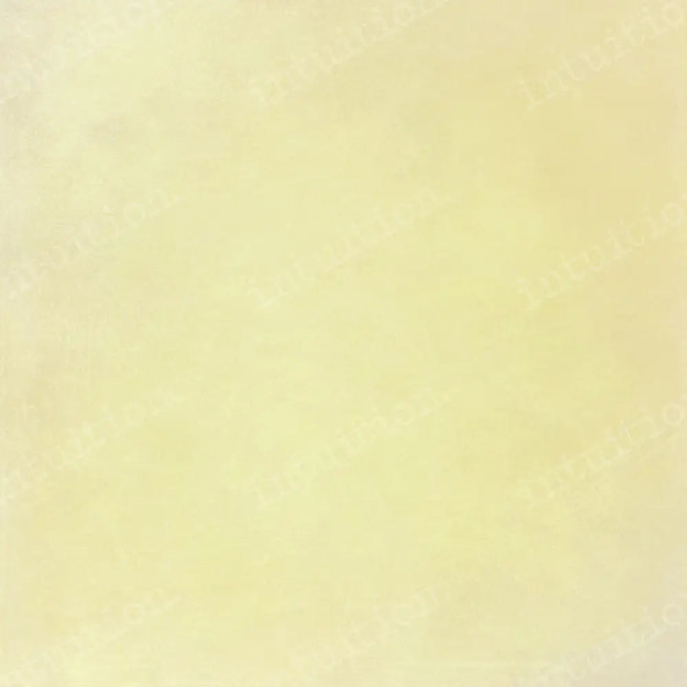 Flan Poly / 60X44 Backdrop