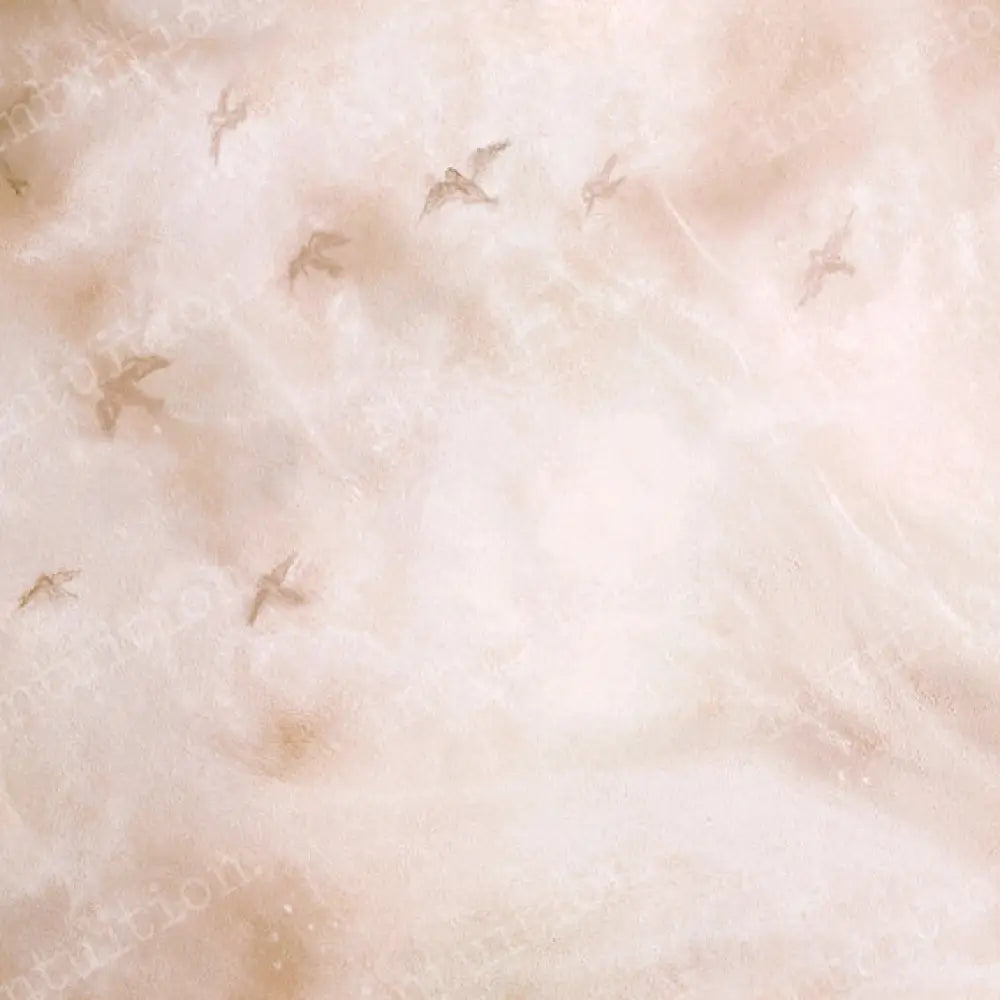 Flight Canvas / 60X44 Backdrop