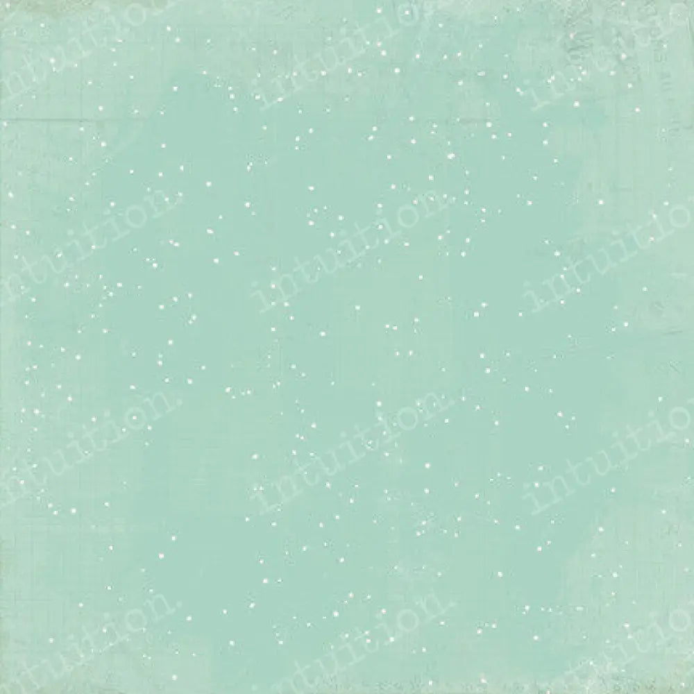 Flurry Canvas / 60X44 Backdrop