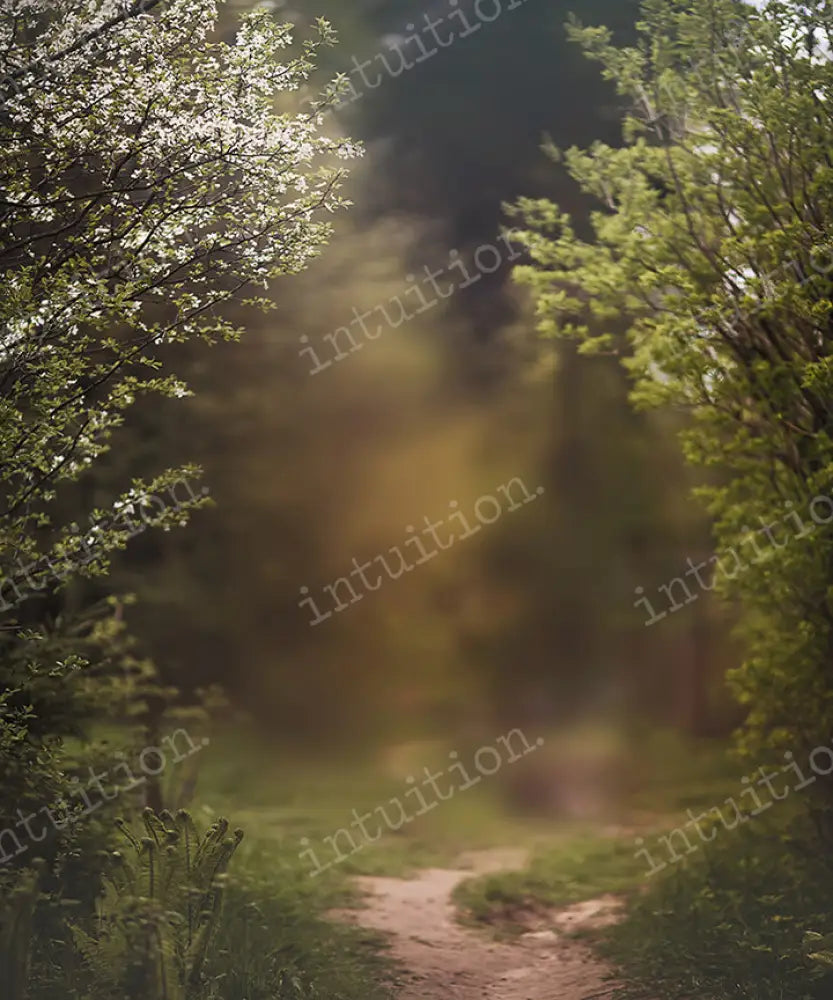 Footpath Backdrop