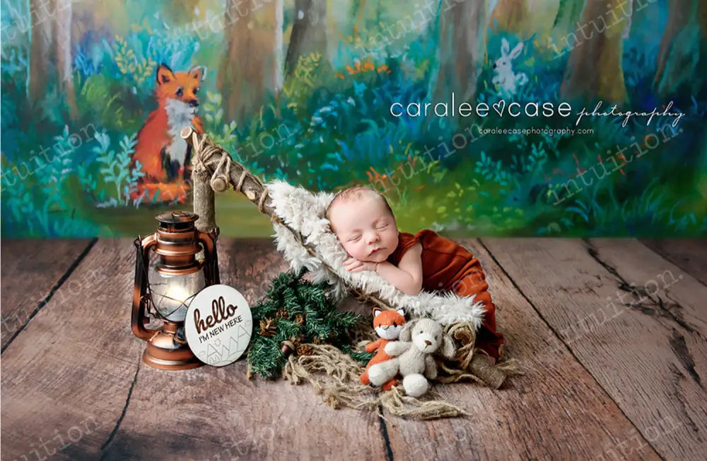 FREE SHIPPING (US ONLY) 5x4 Fabric Woodland Gathering:: overstock sale