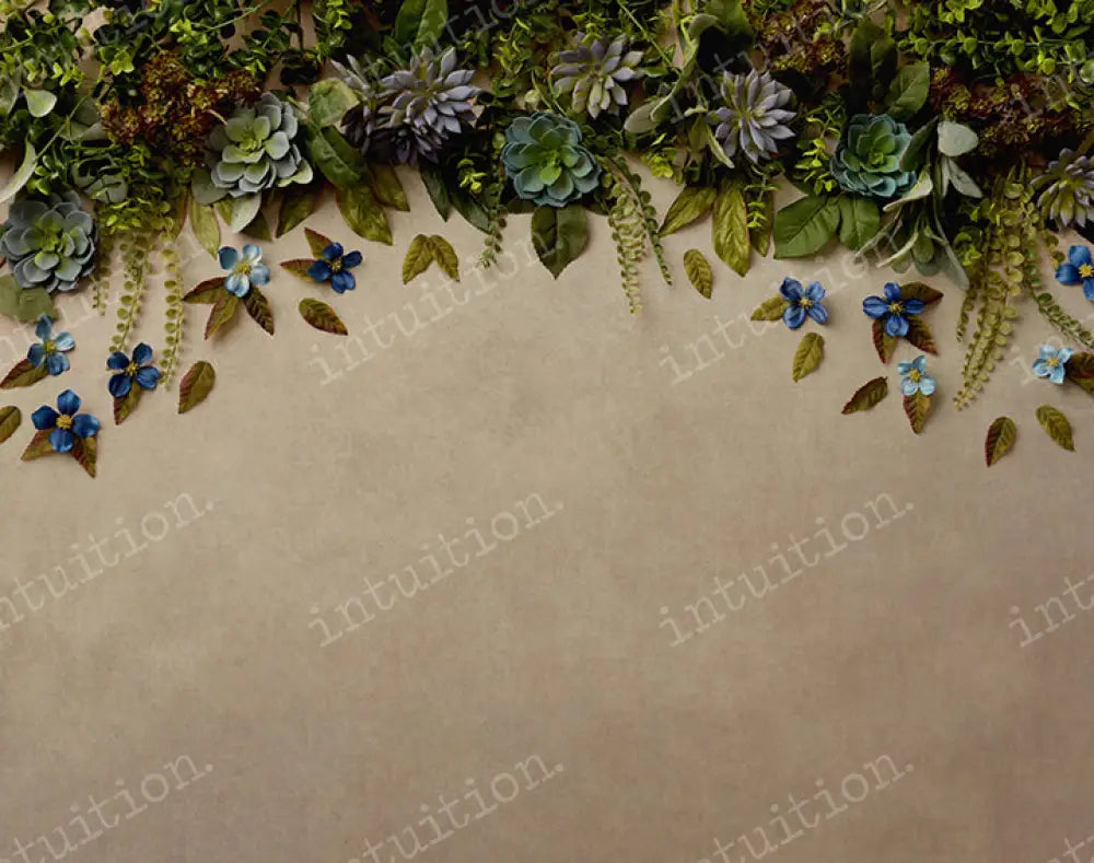 FREE SHIPPING (US ONLY) -7x5 Dream Weave:: Arwen sale