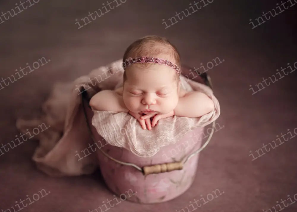 FREE SHIPPING (US ONLY) - 8x10 FABRIC: Rylee sale
