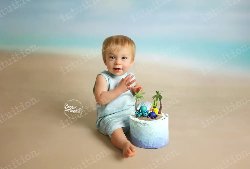 FREE SHIPPING (US ONLY)- 8x12 Fabric: Summerland sale