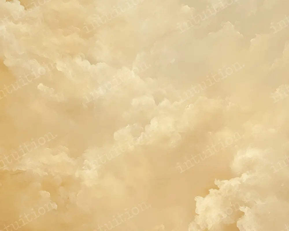 FREE SHIPPING (US ONLY) - 9x7 Fabric:: Hera sale