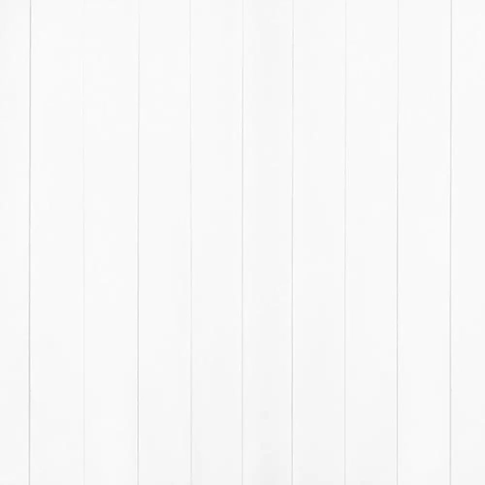 Frozen Canvas / 60X44 Backdrop