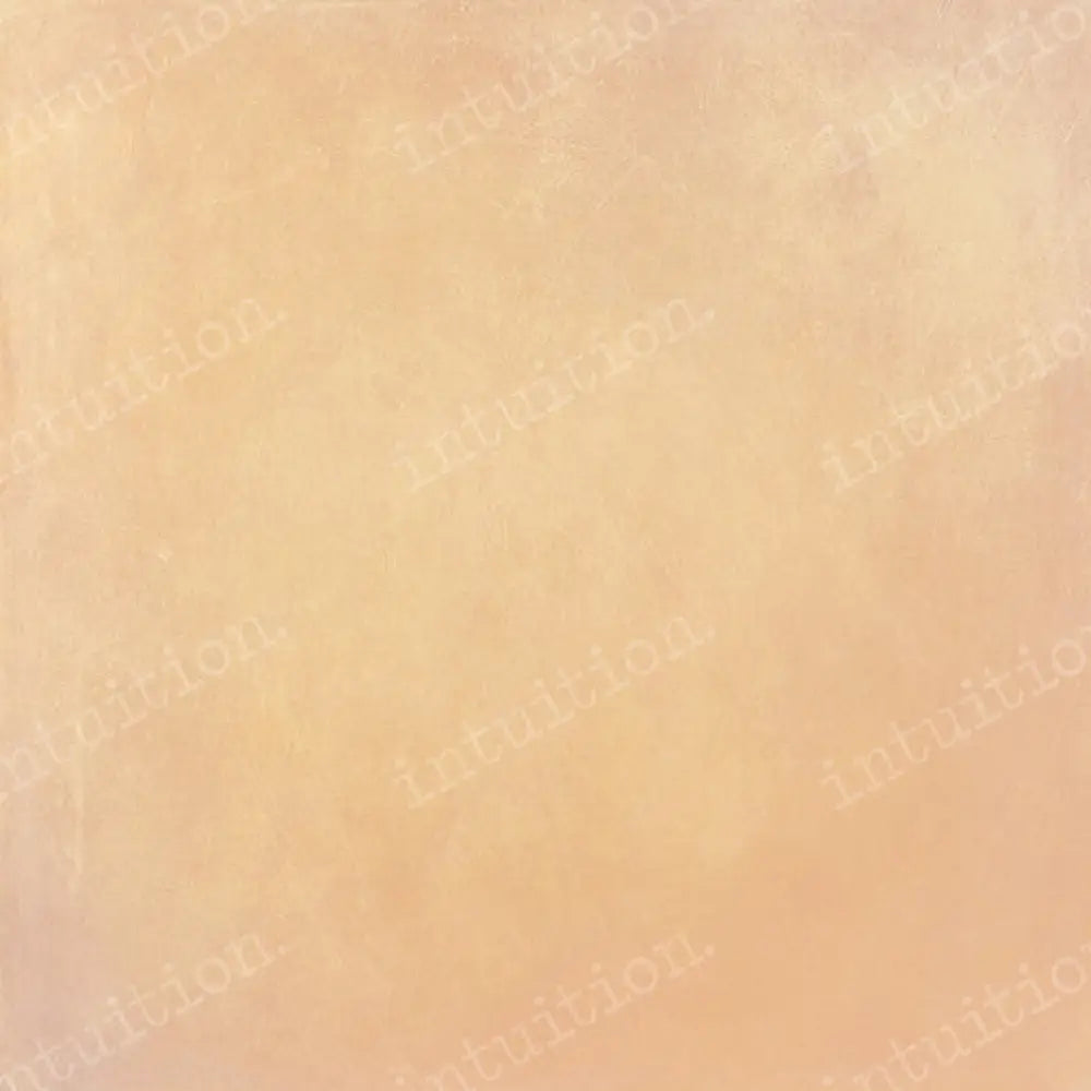 Fuzzy Peach Canvas / 60X44 Backdrop