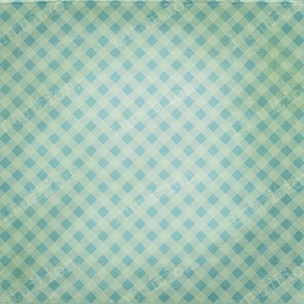 Gingham Canvas / 60X44 Backdrop