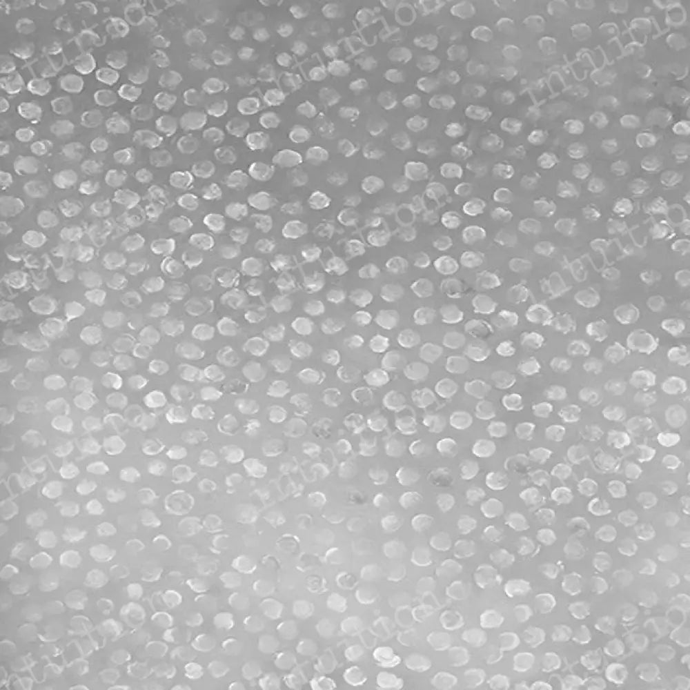 Glasgow Poly / 60X44 Backdrop