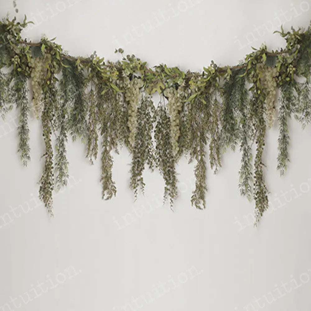 Grace Poly / 60X44 Backdrop