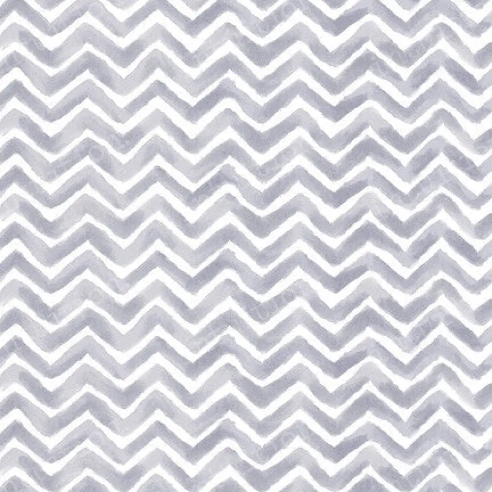 Gus Poly / 60X44 Backdrop