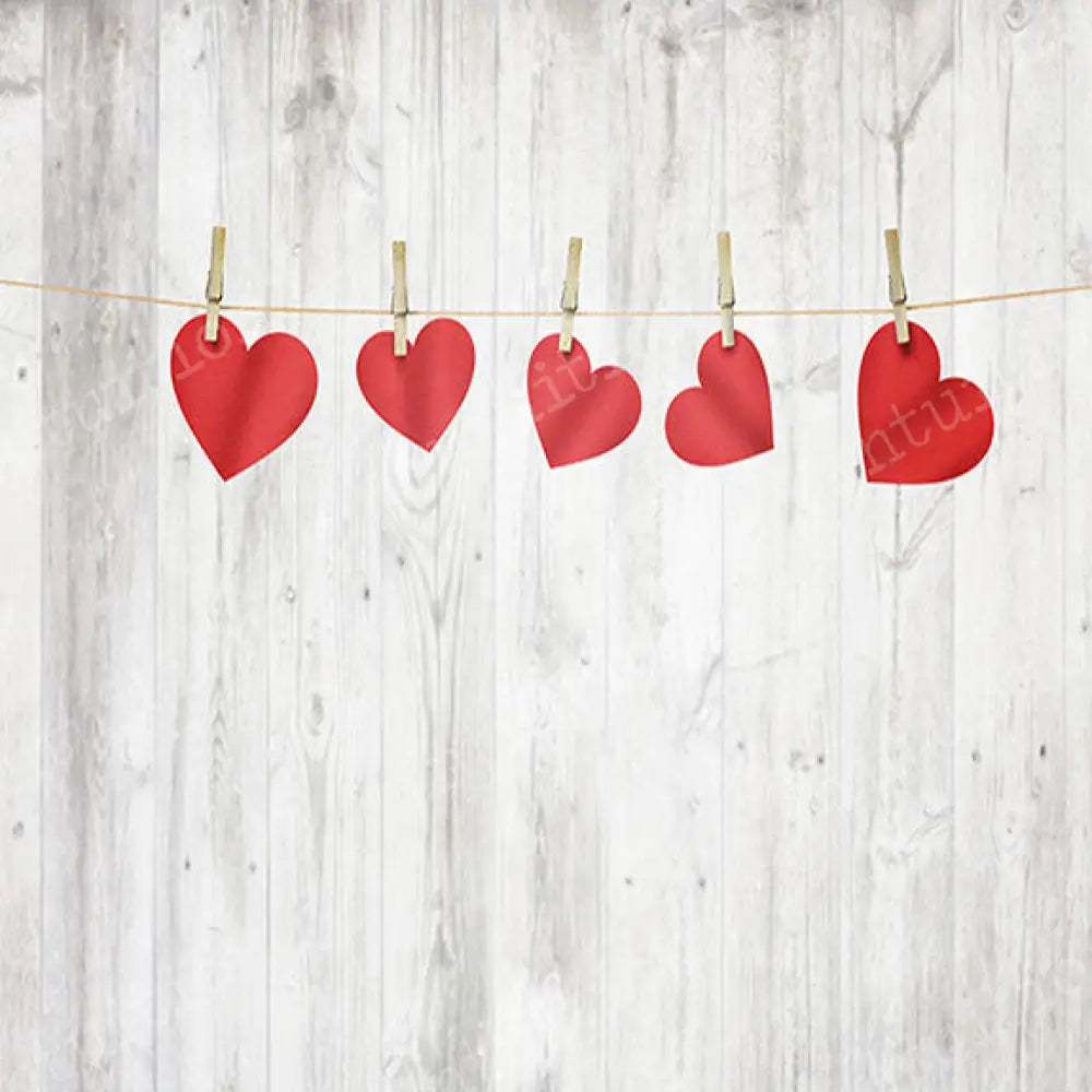 Hanging Onto You Poly / 60X44 Backdrop