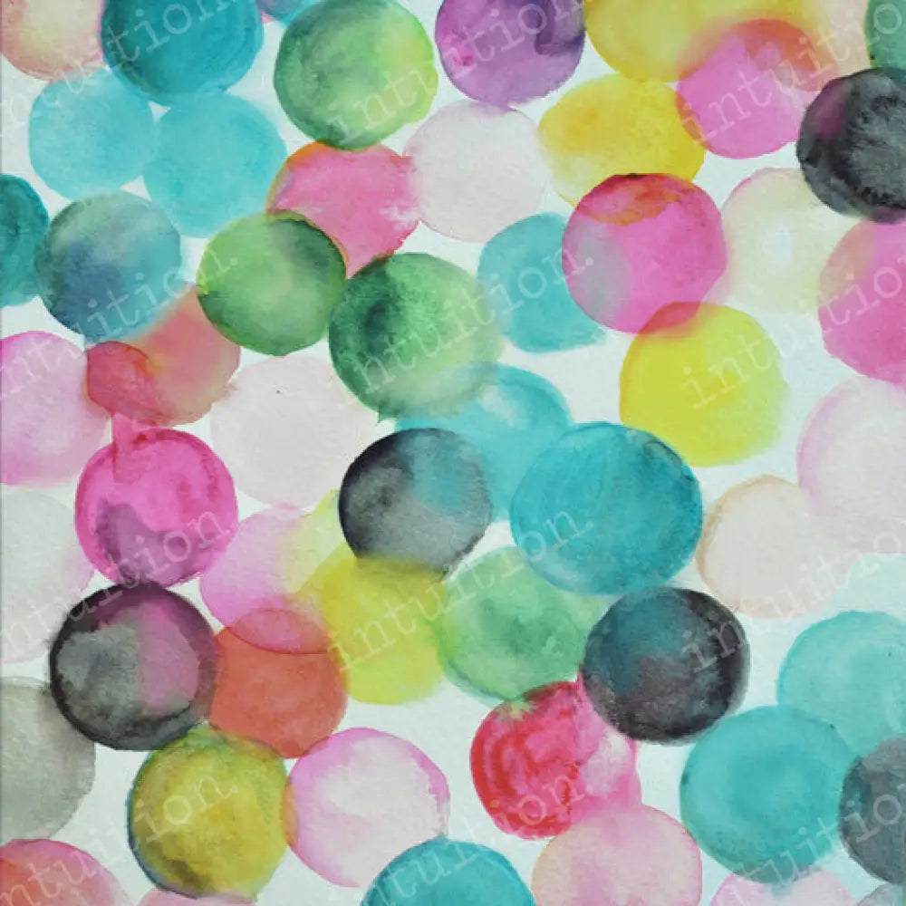 Hannah Poly / 60X44 Backdrop