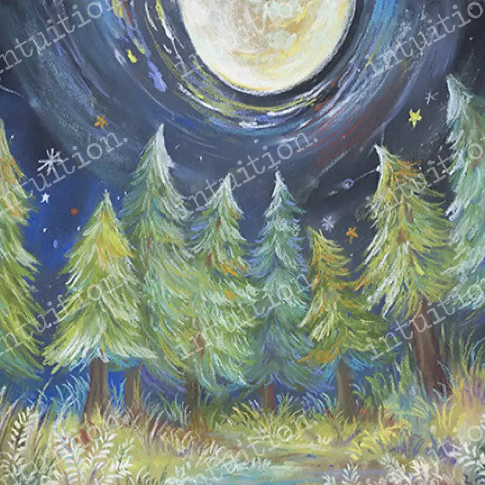 Sitter Session Photography Backdrops - Happy Camper Poly / 60X44 Backdrop