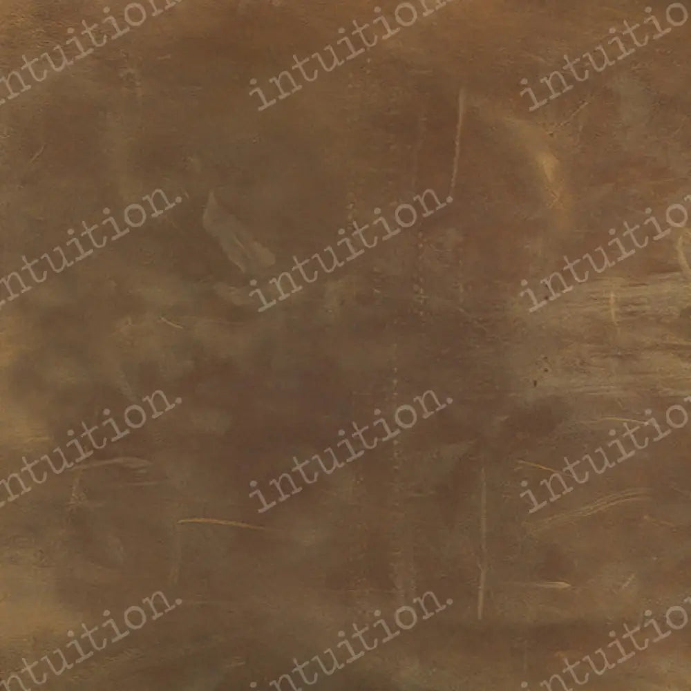 Harry Poly / 60X44 Backdrop