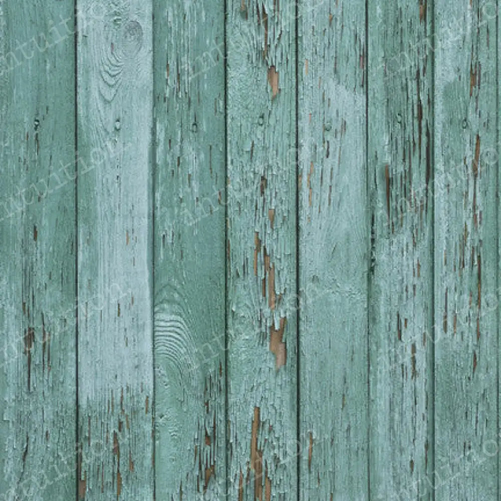 Hemlock Canvas / 60X44 Backdrop