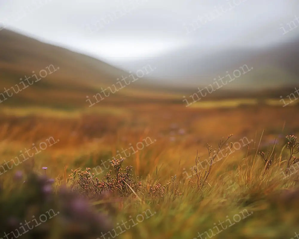 High Hills Backdrop