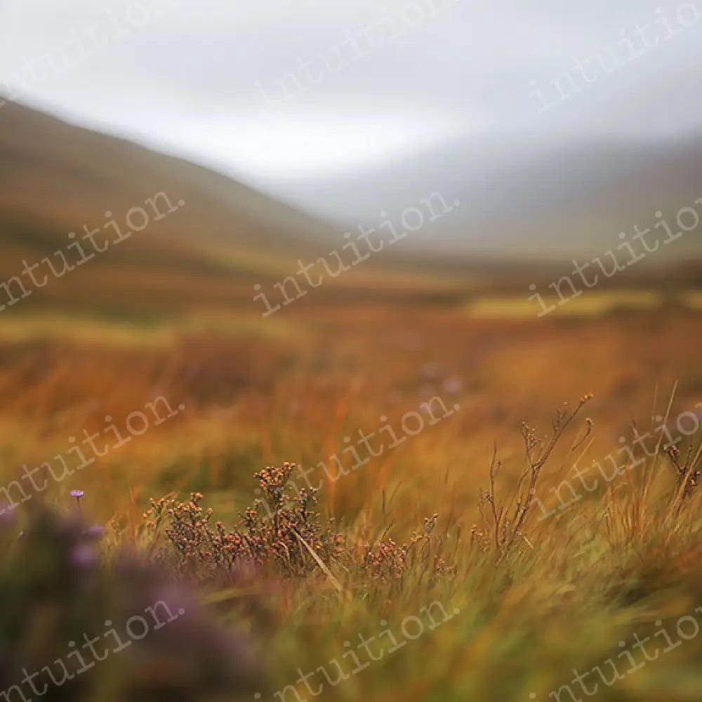 High Hills Horizontal / Poly / 5x4 Backdrop