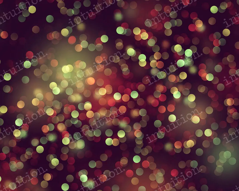 Holiday Lights Backdrop