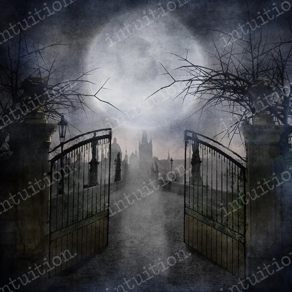 If You Dare Poly / 60X44 Backdrop