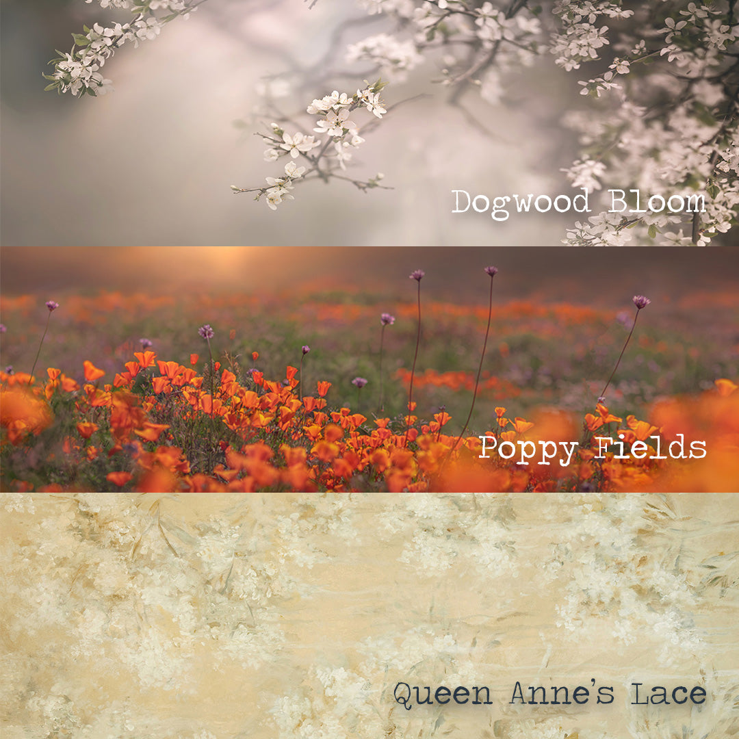 Modern Meadow Bundle