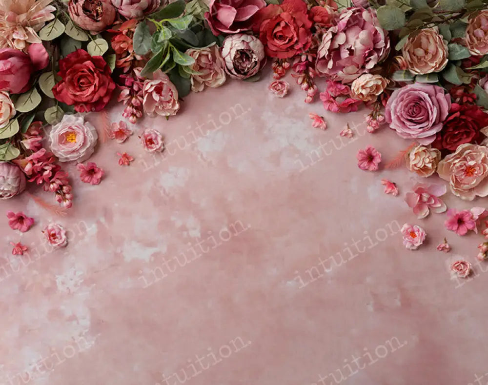 Isla Backdrop